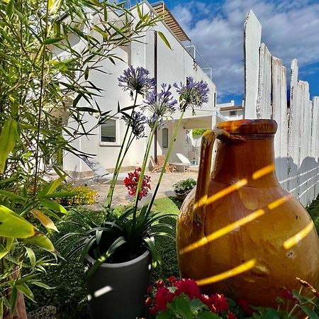 Casa Mila White Villa Marina di Cerveteri Dış mekan fotoğraf