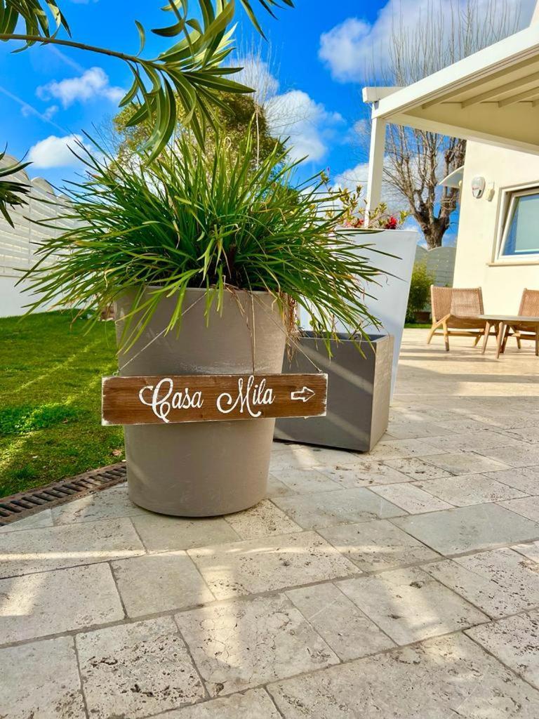 Casa Mila White Villa Marina di Cerveteri Dış mekan fotoğraf