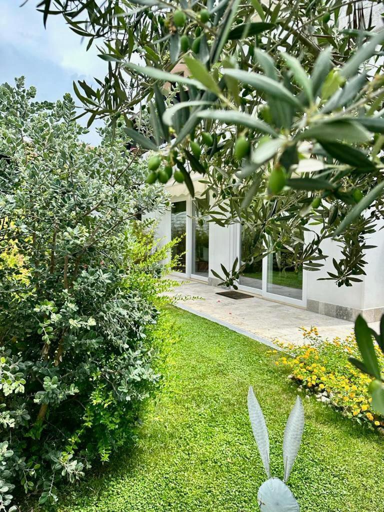 Casa Mila White Villa Marina di Cerveteri Dış mekan fotoğraf